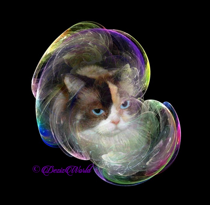 Raena in abstract colors frame