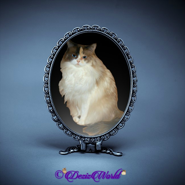 Raena in blue mirror