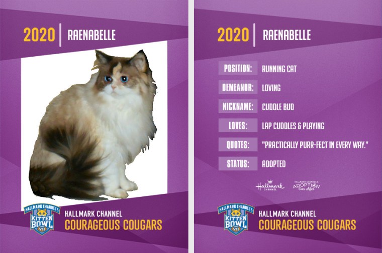 Raena, 2020 kitten bowl trading card