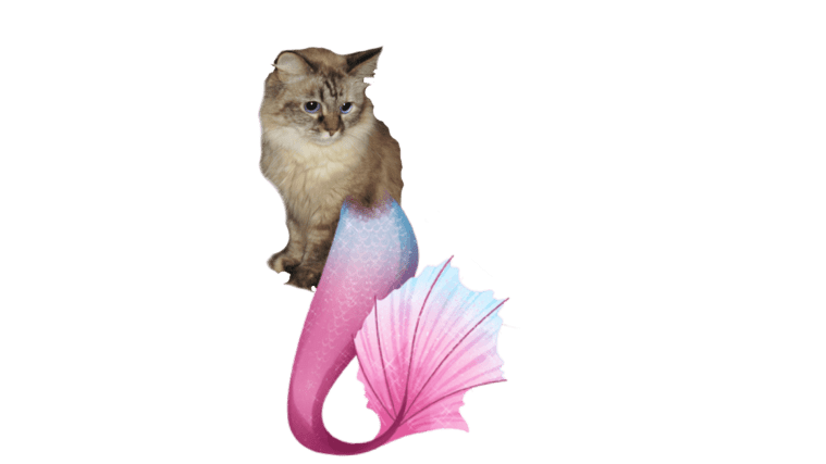 Dezi as a mermaid with pink tail