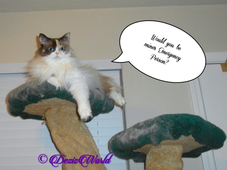 Raena asks for Emergency contact