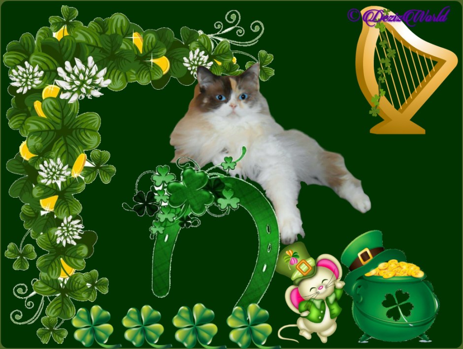 Raena in St. Pat's frame