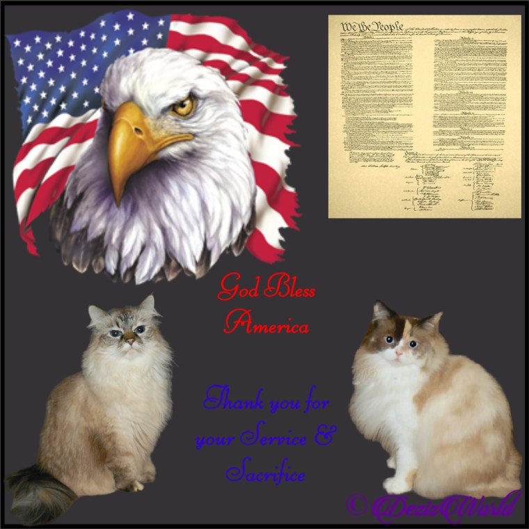 Dezi and Raena in memorial Day Frame