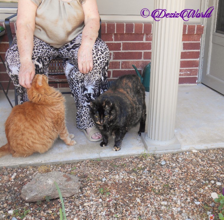 Jubal and Spook outside with Mrs. N