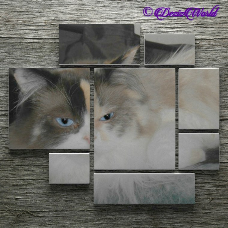 Raena in a wall frame