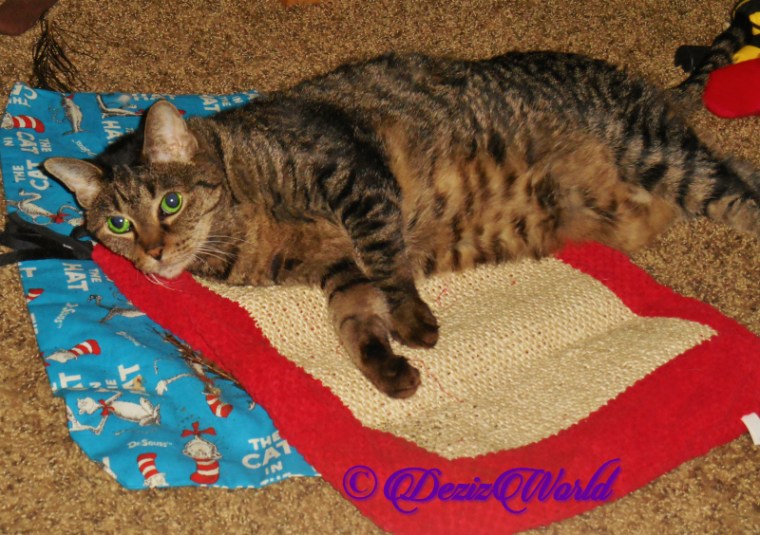 Lexi lays on nip mat