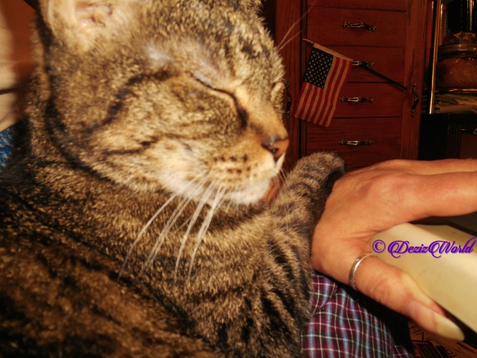 Lexi sleeps on mommy A's hand, selfie