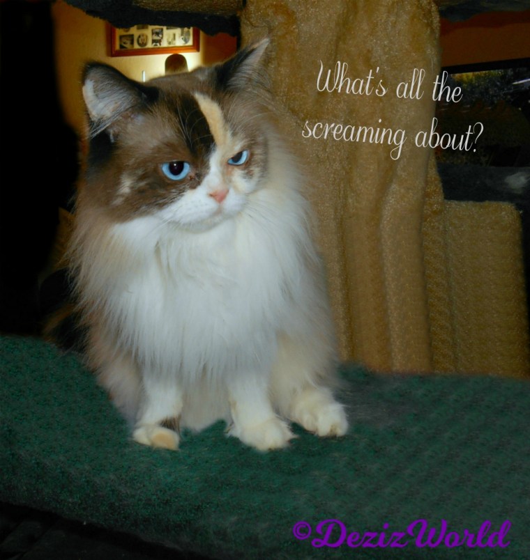 Raena asks what's all the screaming about?