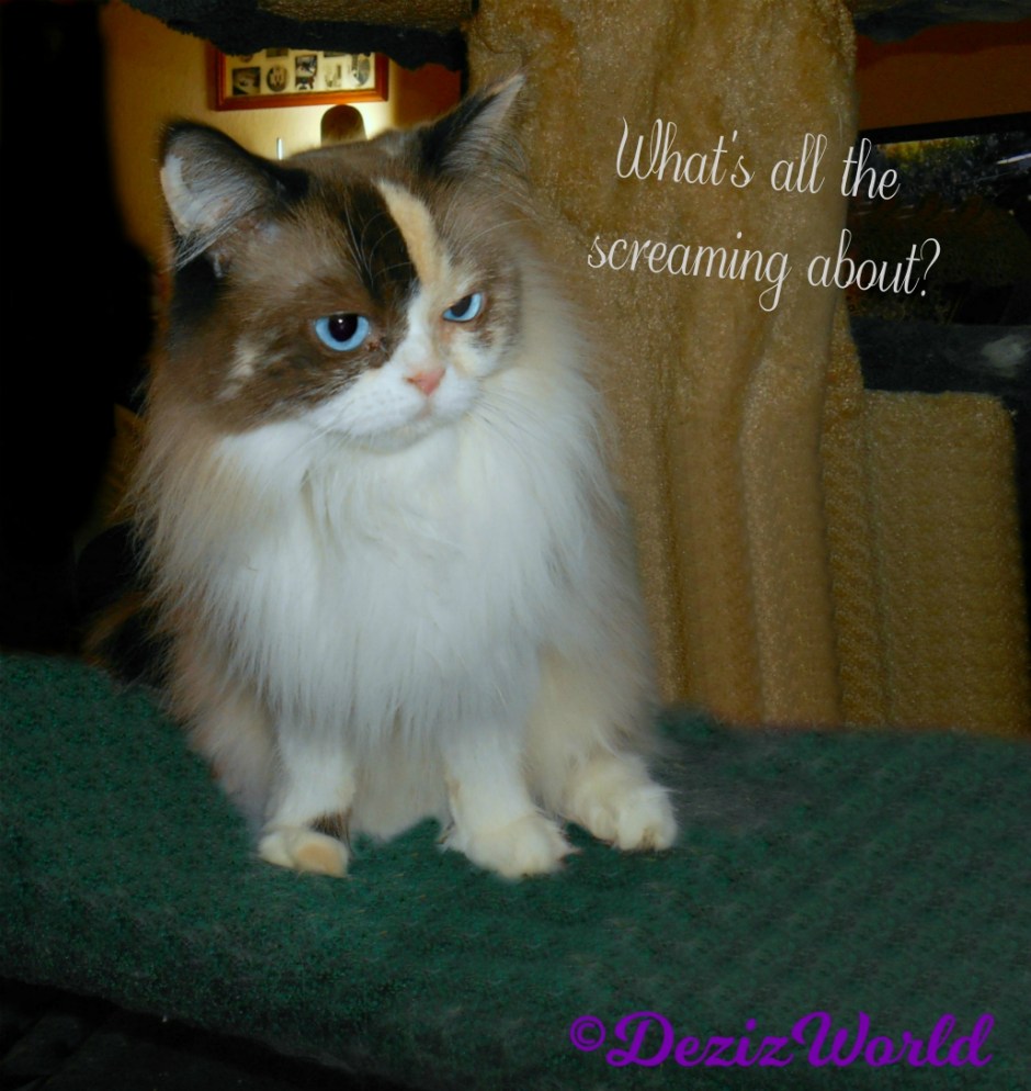 Raena asks what's all the screaming about?