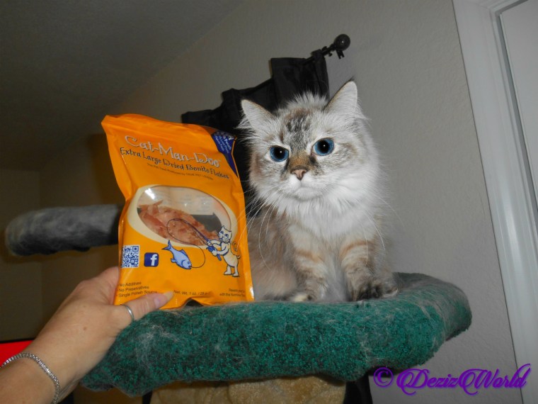 Dezi poses with bonito flakes from ashley