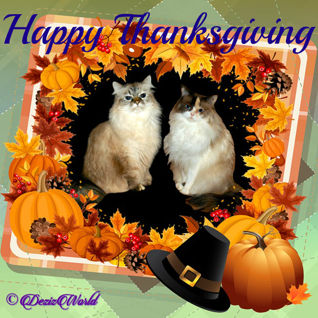 Dezi and Raena in a Thanksgiving Frame