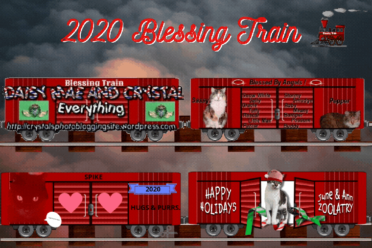 2020 Blessing Train lineup 4