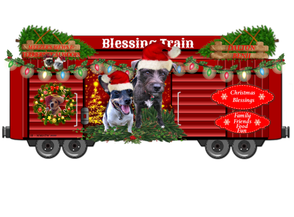 Dalton and Benji 2020 boxcar