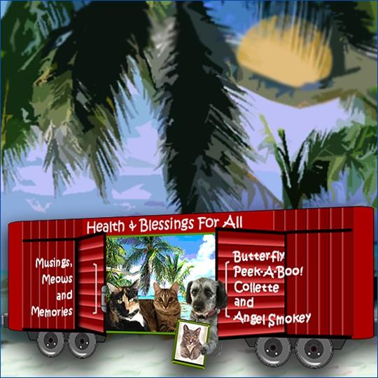 Butterfly, Peekaboo, Angel Smokey and Collette 2020 boxcar