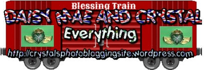 Crystal and Daisy Mae 2020 boxcar