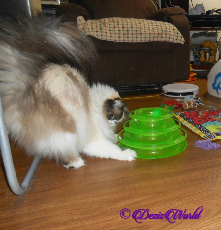 Raena plays with tower of tracks gift belinda