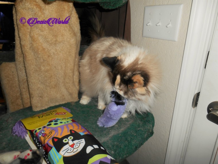 Raena with vonda gifts