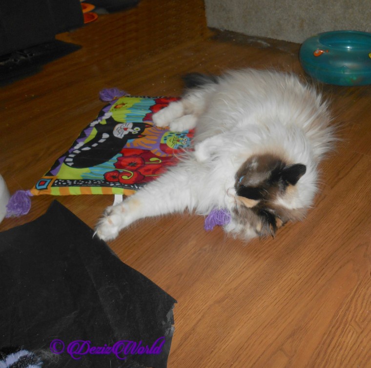 Raena lays on her new boogie mat from Vonda
