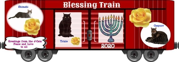 The J-cats boxcar 2020