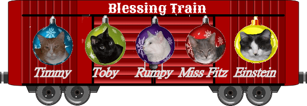 Timmy, Toby, Rumpy, Fitz and Einstein 2020 boxcar