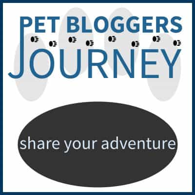 Pet Blogger's Journey badge