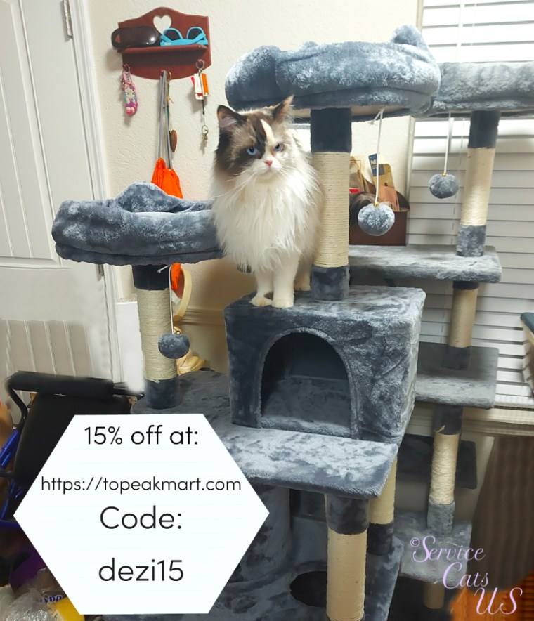Raena on topeakmart.com cat tree discount code