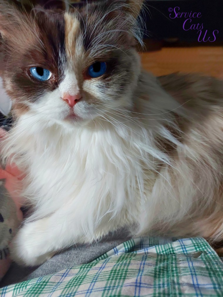 Raena selfie laying in mommy's lap