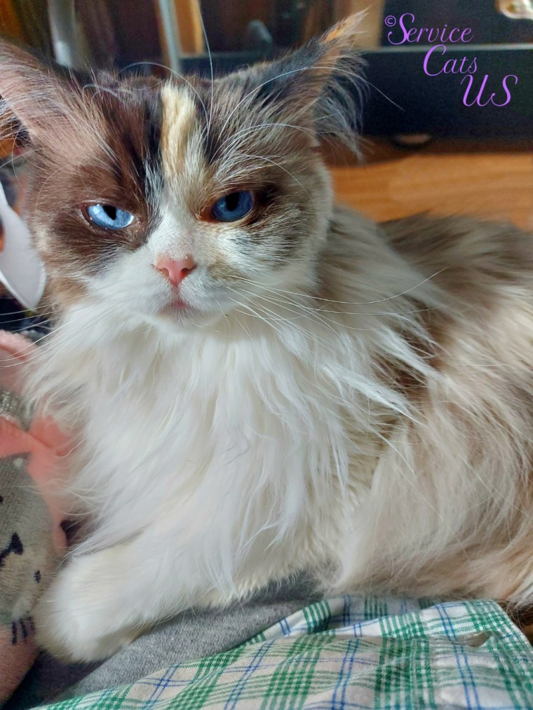 Raena lays in mommy's lap, light selfie