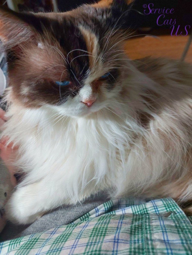 Raena looks down while laying in mommy's lap