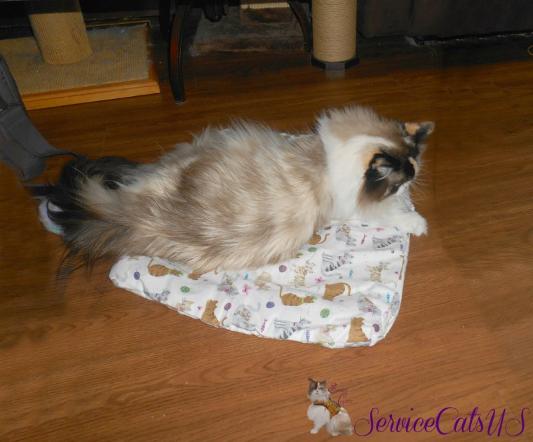 Raena plays on mat from Ellen Pilch