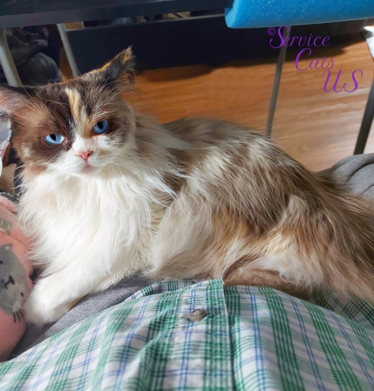 Raena lays in mommy's lap, full body