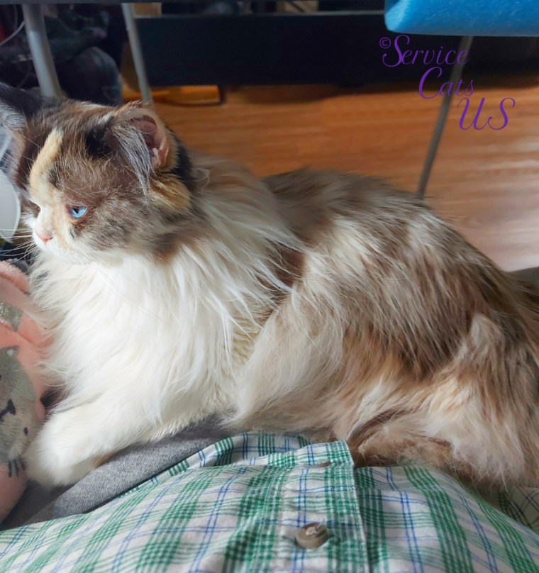 Raena's profile laying in mommy's lap