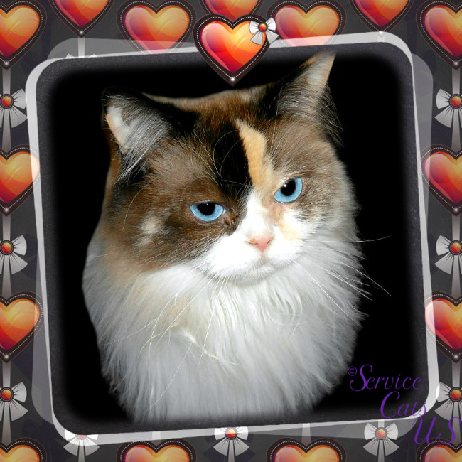 Raena in a frame with small hearts and bows