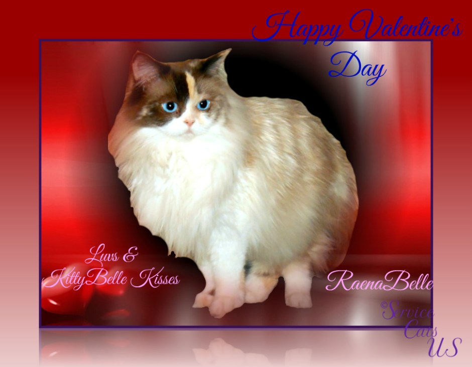 Raena's valentine's day wishes
