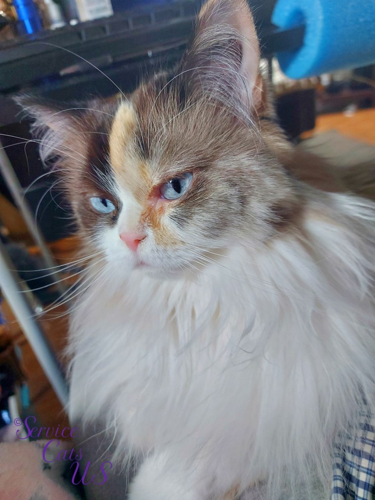 Raena's lap selfie from a 3/4 face view