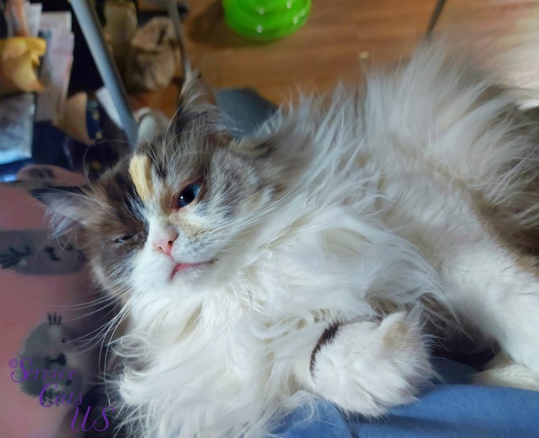 Raena lays in lap selfie with eyes squinted