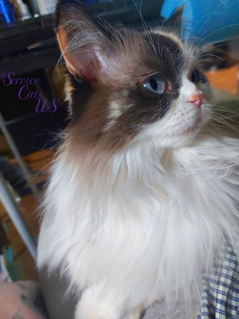 Raena's profile lap selfie of her dark eye