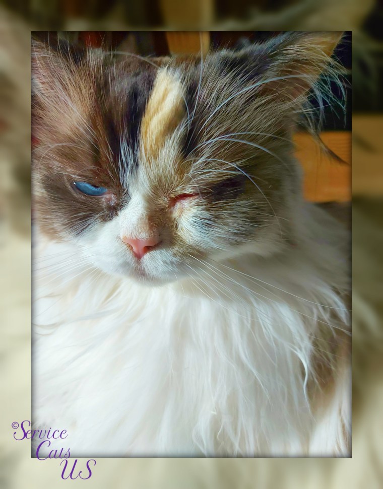 RaenaBelle mirrored frame selfie