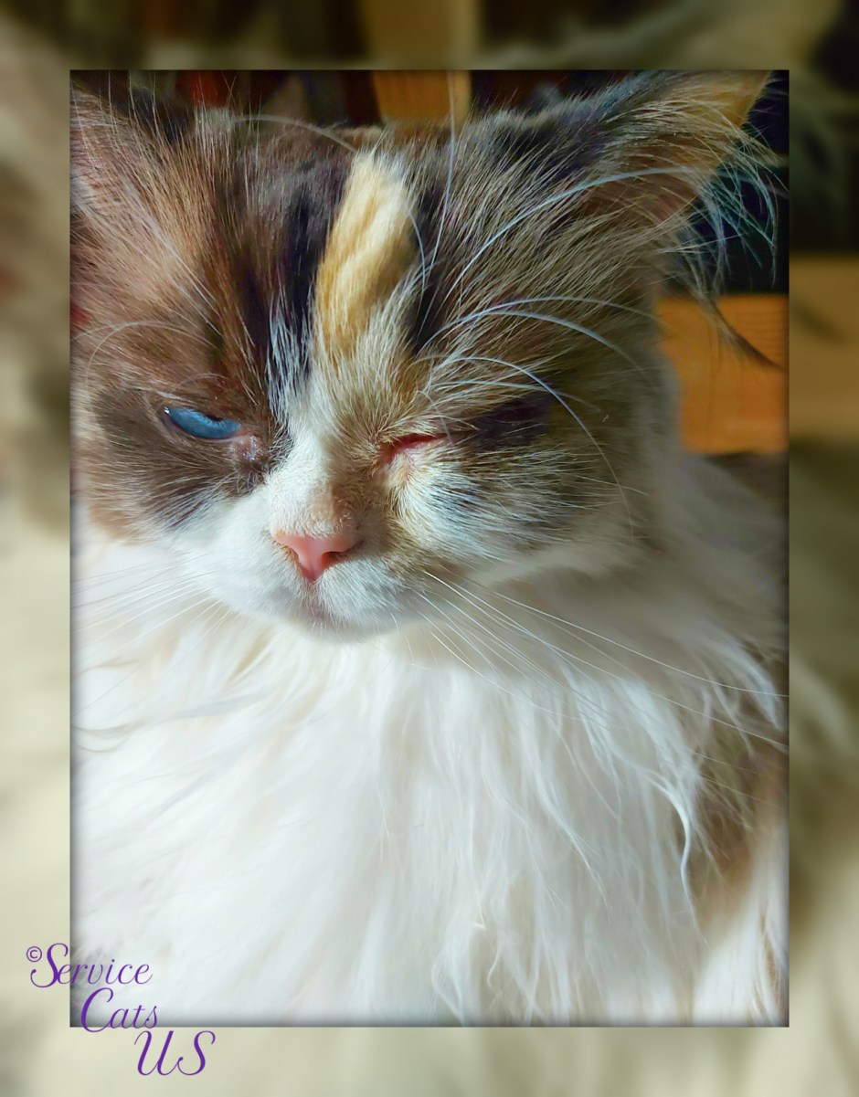 RaenaBelle mirrored frame selfie