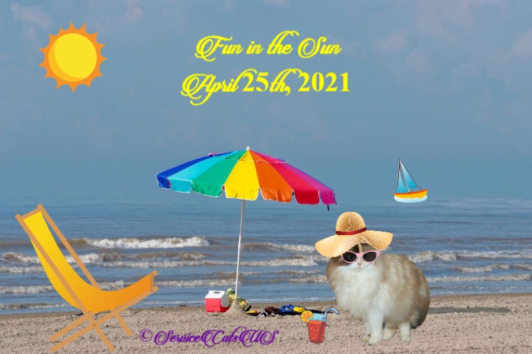 Raena's fun in the sun birthday party announcement