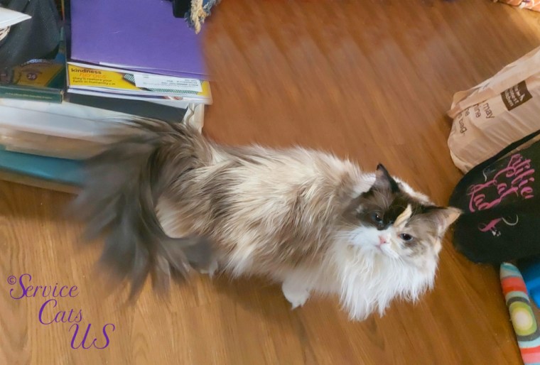 Raena standing by chair looking up