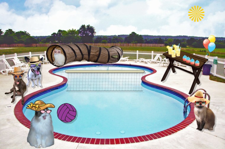 Ranea's pool party arrivals