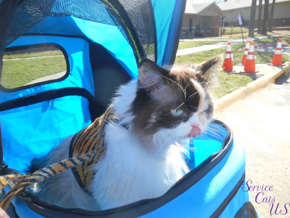 Raena sits in stroller with tongue out