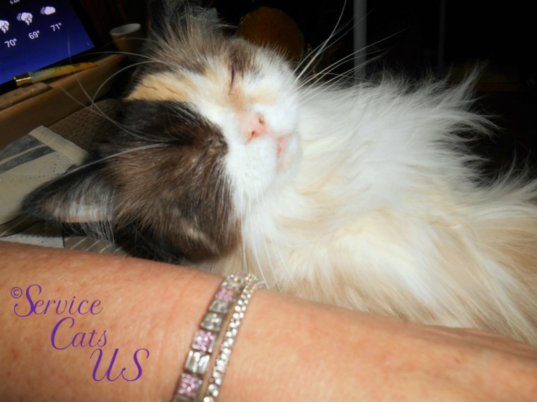 Raena lays sleeping in mommy A's lap