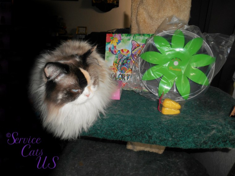 Raena checks out gifts from awnty Ellen