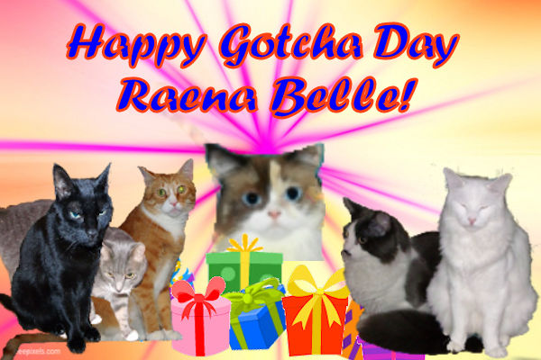Raena gotchaday card from Timmy and family