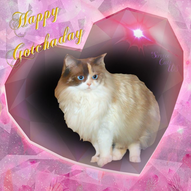 Raena in pink gem heart frame with Gotchaday