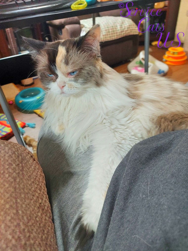 Raena lays in mommy A's lap