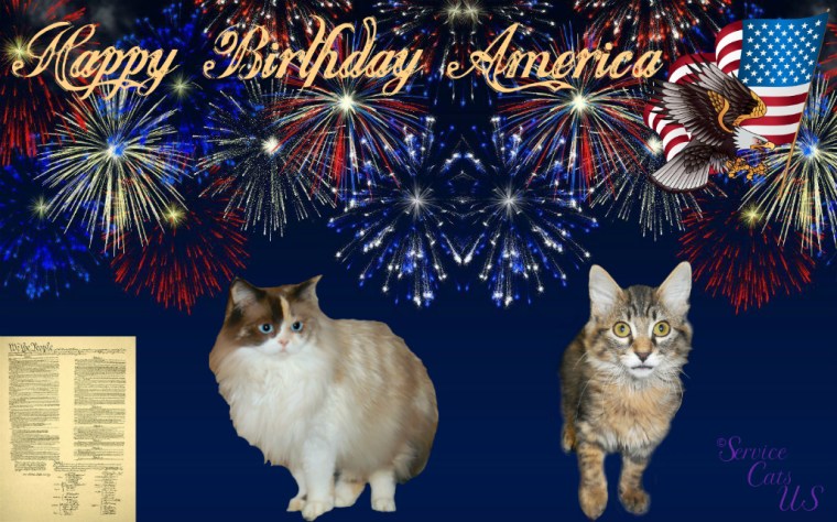 Raena and Zebby in patriotic frame, Happy birthday America