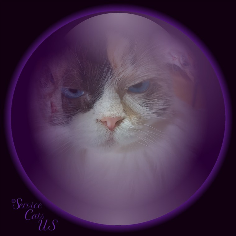 Raena selfie in crystal ball frame